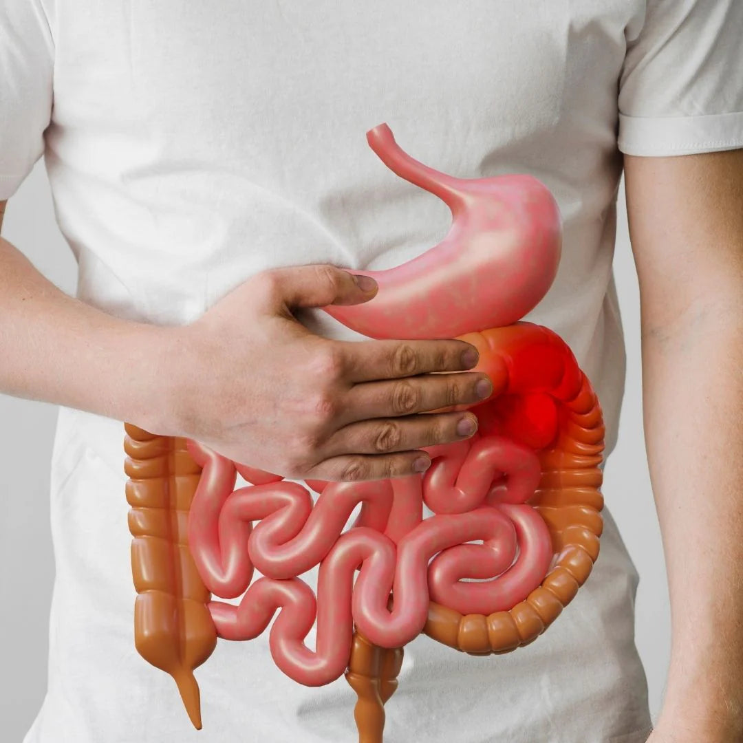 Bedtime Weight Loss | Caffeine Free | Weight Loss Support with L-Glutamine | Gut Health Support | Burn Fat | 30 Capsules