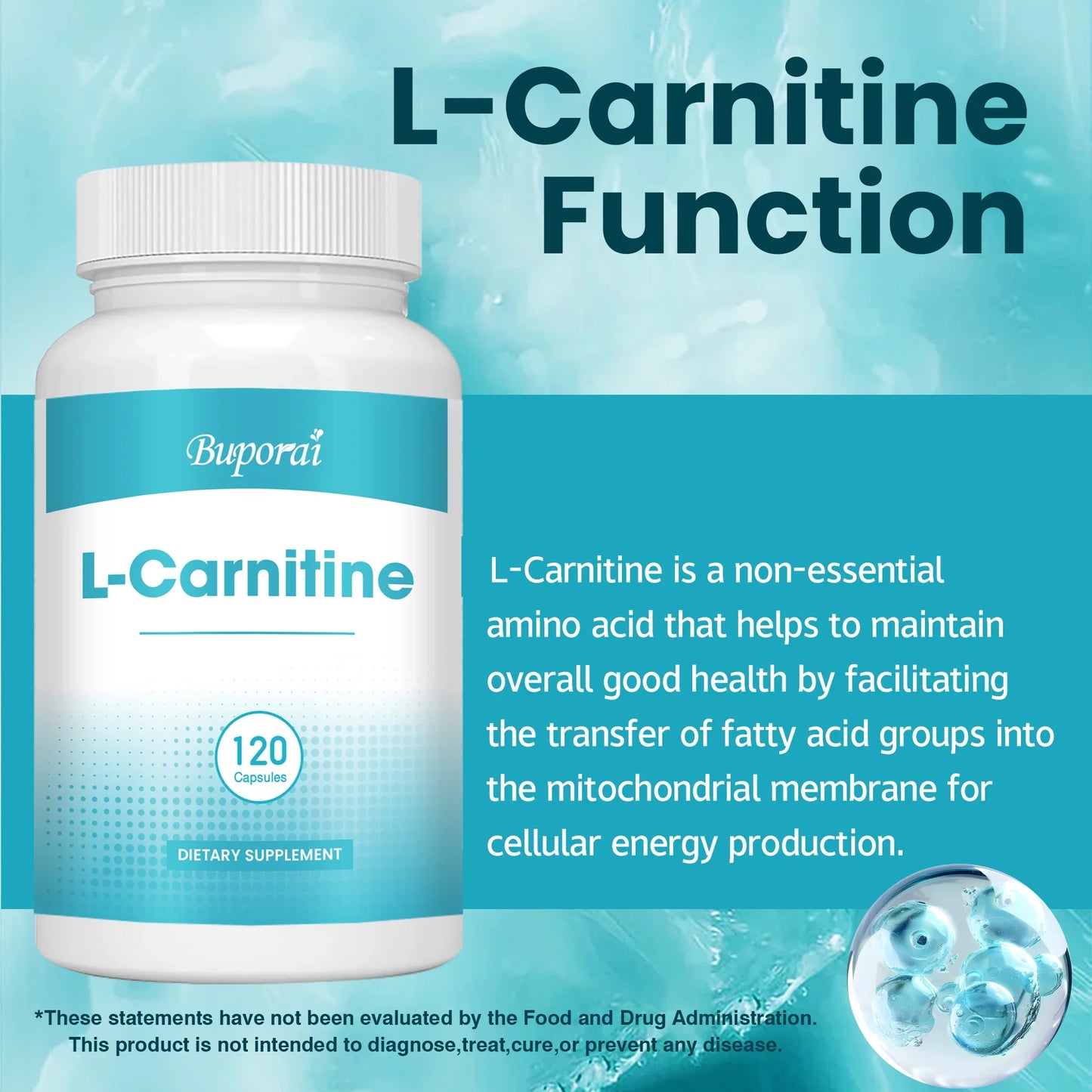 L-Carnitine - Burner Fat, Support Energy, Grow Muscles, Promote Metabolism, Improves Memory and Concentration - 120 Capsules
